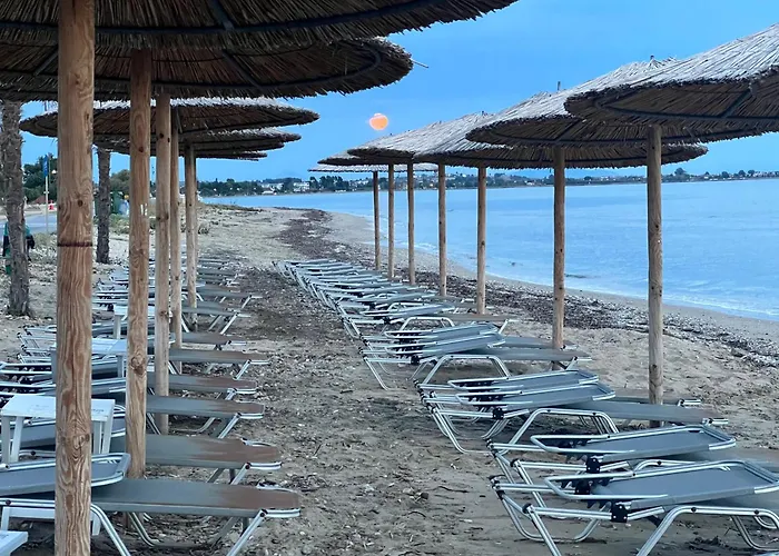 в Tatil Evi Sozopoli